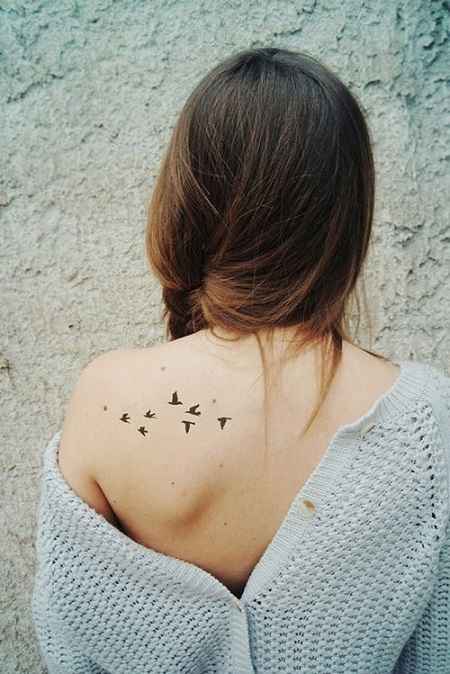 birds fly on Back